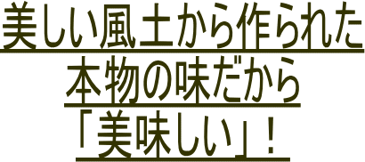 最高級にんじんジュース-05