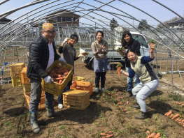 人参ジュース｜潮田農園｜天気も良く収穫体験