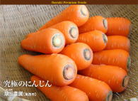 無農薬人参ジュース用にんじん 無農薬人参ジュース用にんじん