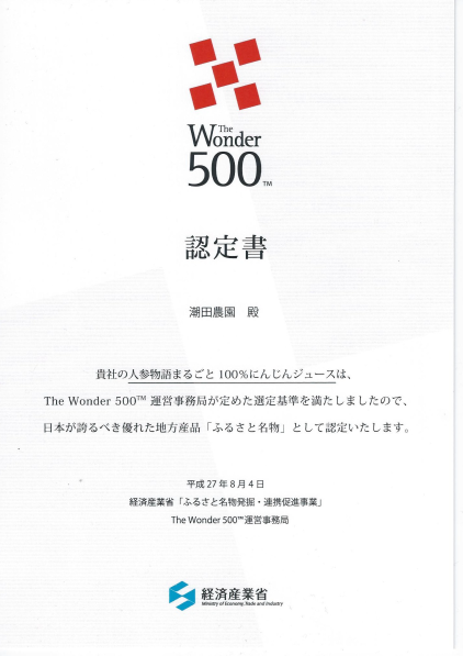 wonder500認定書